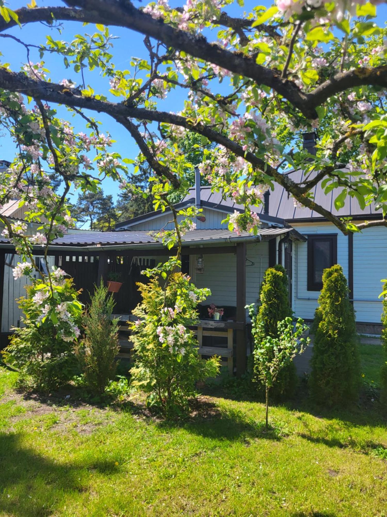 Guest House Sunny Jūrkalne Εξωτερικό φωτογραφία